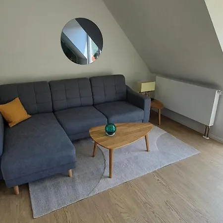 Rotdorn * Wiek auf Rügen