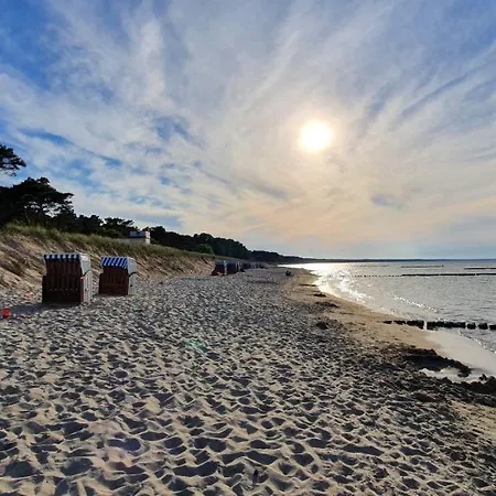 Rotdorn * Wiek auf Rügen